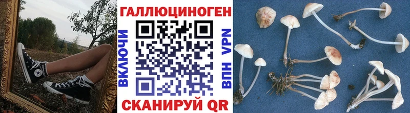 Псилоцибиновые грибы Cubensis Барнаул